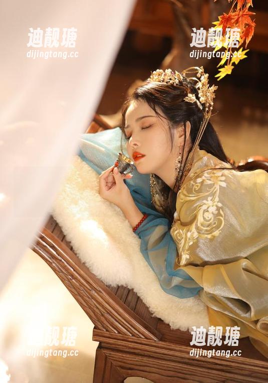 味觉与视觉的碰撞：苏嫣qvq的厨娘套图之谜